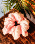 Petal Waves