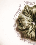 Sage Waves